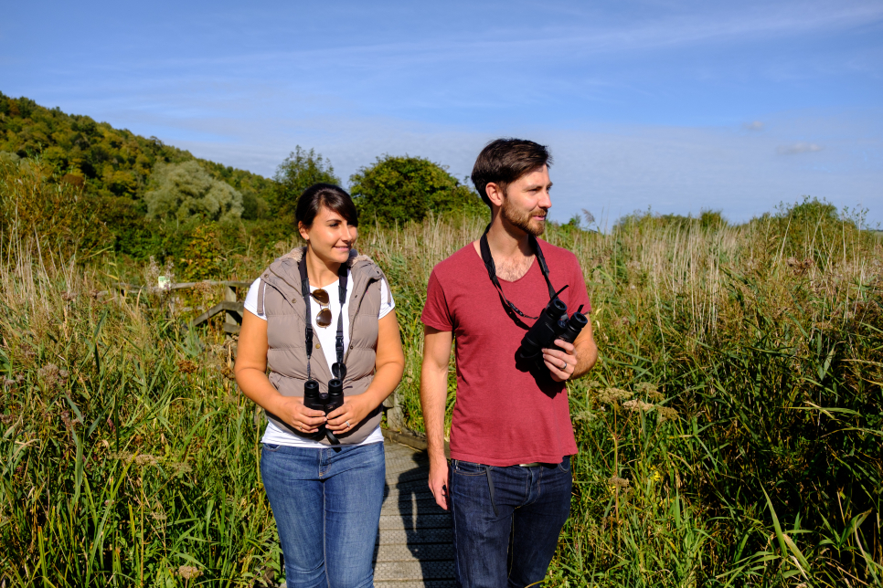 Reedbed walk.jpg